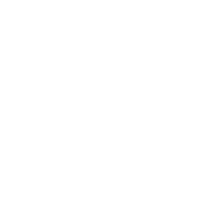 Lion Fitness Gear