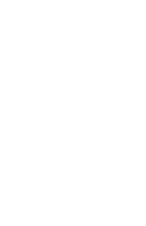 Lion Fitness Gear